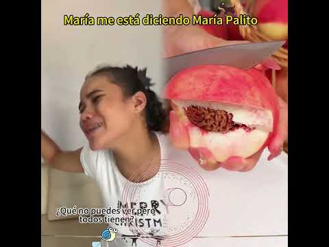 ¿Qué animal hace más preguntas? #funny #storytime