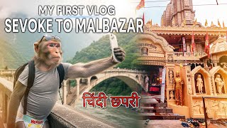 Chindi Chapri’s FREE Food & Travel VLOG 🤣 Sevoke to Malbazar Adventure 😂 Dooars Tour My Fast Vlog