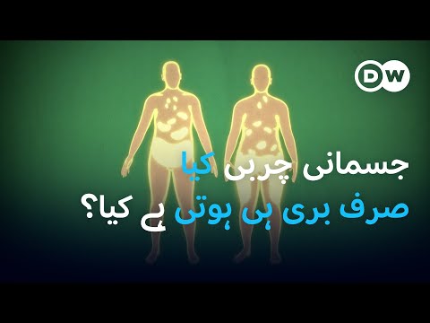 کیا جسمانی چربی واقعی نقصان دہ ہے؟ | DW Urdu |