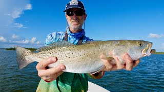 I wasn't expecting that one!