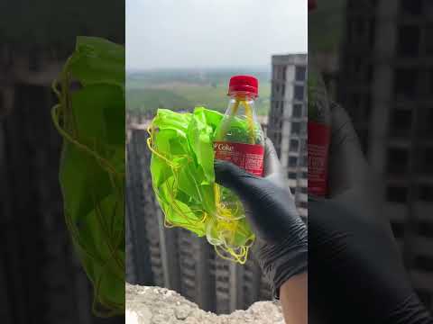 Human Falling Gravity #shorts #mravi #youtubeshorts