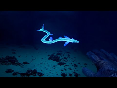 This Creature Is NOT from EARTH..