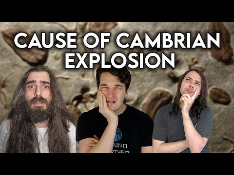 The Cambrian Explosion, Was It Natural...Or Was It Aliens?!