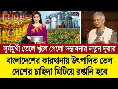 সাব্বাস বাংলাদেশ! সূর্যমুখী তেলের কারখানা উৎপাদনে রেকর্ড গড়ে অবদান রাখছে অর্থনীতিতে 💪🔥 BD Tube News