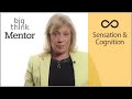 Embodied Cognition and Temperature Effects