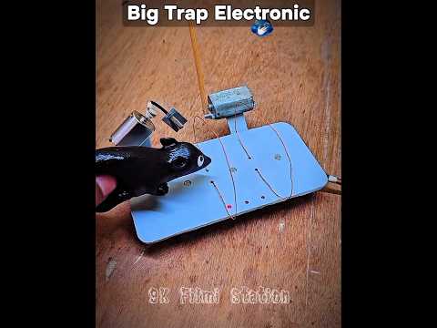 Big Traps Alart 💀