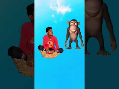 🙏Bandar ka cake 🎂 chura liya ♥️ #shortsfeed #viral #trending #shortvideo #youtubeshorts #monkey