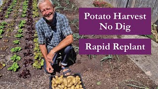 No Dig Potato Harvest – 39kg in 79 Days! Replanting with Leeks Same Day | Homeacres July Garden