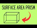 Surface Area of Prisms