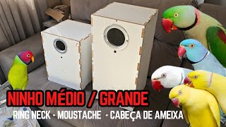 CRIAÇÃO DE RING NECK , GRANDE ALEXANDRE,  MOUSTACHE E CABEÇA DE AMEIXA - NINHOS E TAMANHOS IDEAIS