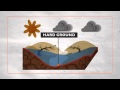 Floods: Understanding the Impact and Preparedness