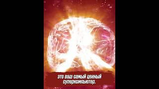 НИ ОДНОГО БРОШЕННОГО МОЗГА