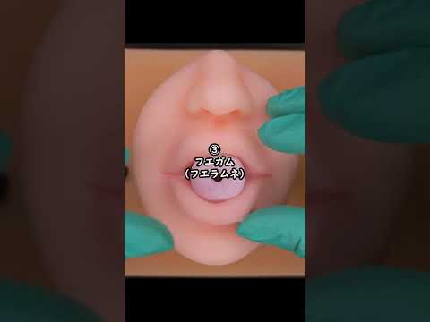 一生お菓子しか食べられないとしたら どれ選ぶ?🍩 ASMR #ai #aiart