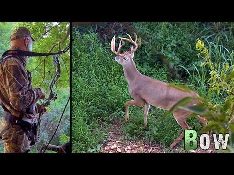 Bow Hunting Deer: Early Season Success! (#200) @GrowingDeer.tv