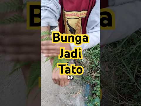 Bunga jadi tato #viralvideos #eksperimen #shorts