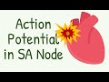 SA Node Physiology and Function