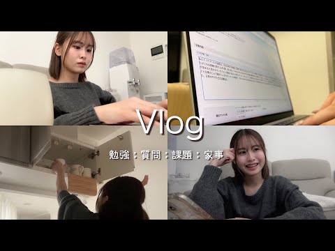 【Vlog】現役青学生がレポートに追われながら勉強に関する質問に答えてみた📚🎓