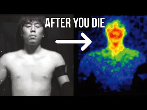 Why Human Body Emits Light That Disappear Upon Death