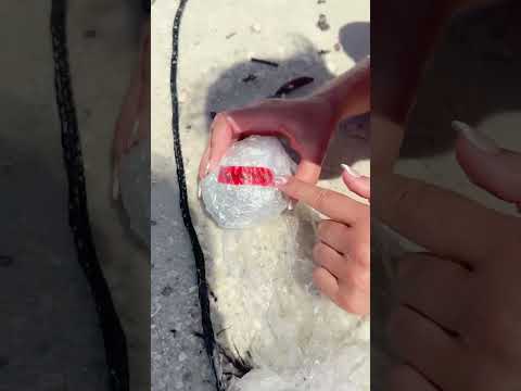 Fishing Net Catches Mystery Box... Then Turns Into a Proposal! ๐ฑ๐