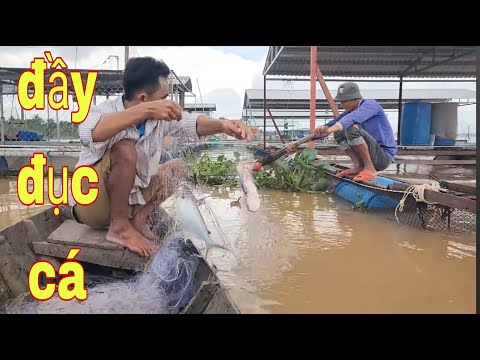 Giăng Lưới Điểm Mới Nhiều Kỳ Vọng Cá Dính Gỡ Không Kịp Luôn # SĂN BẮT ĐỒNG THÁP #