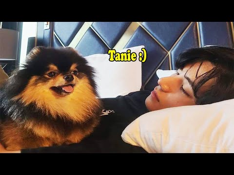 BTS with YEONTAN (Don't fall in love with YEONTAN Challenge)