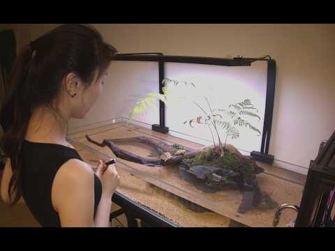 DIY Shallow Tank Just to Stop Her from Escaping | A New Life for the Mutant Turtle