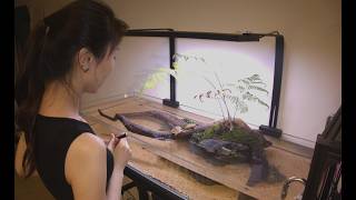 DIY Shallow Tank Just to Stop Her from Escaping | A New Life for the Mutant Turtle