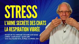 Pour se déstresser,  faites comme le chat : ronronnez ! par Guy Roulier (sous-titré)