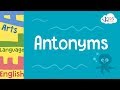 Antonyms and Related Concepts