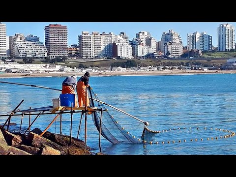 LA PESCA MENOS PENSADA ENTRE "BALLENAS Y CORNALITOS"