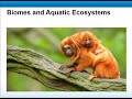 Climate and Ecosystems Assessment