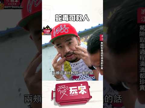 對這毒又愛又狠！【週一愛玩客】#自由發揮 #shorts