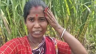 আজকে সকালে মাঠে গেলাম কিসের জন্য 🙏🏻