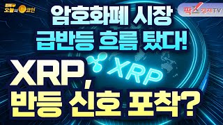 암호화폐 시장, 급반등 흐름 / XRP, 미결제약정 하루 만에 급등 [250804 다시 오늘의 코인] (가다니엘,권지영)