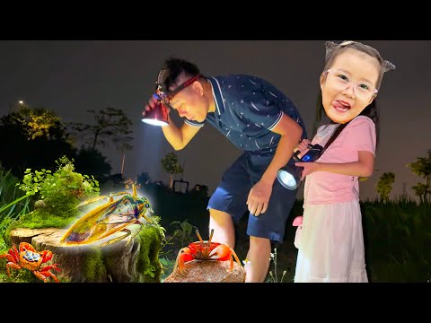 Changcady ra đồng soi đêm, bắt con cá , con cua, con cà cuống