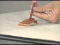 Forensic Evidence Lifting Techniques
