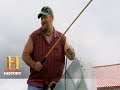 Polo Knowledge and Trivia