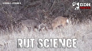 Rut Science | DDH Properties