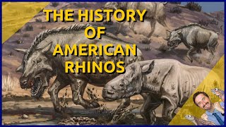 The History of American Rhinos