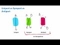 Transport Mechanisms in Cell Membranes