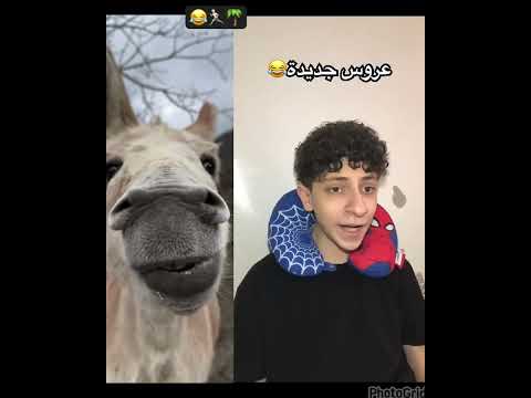 عروس جديده مييين بدو #تحدي #اخوتي #اكسبلور