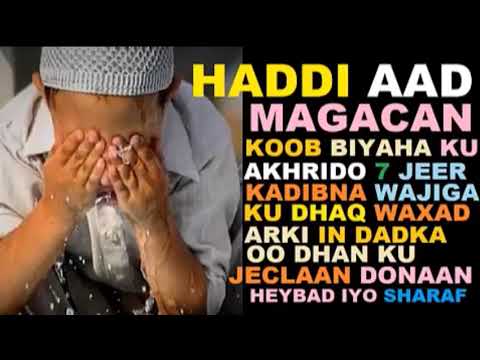 HADDI AAD MAGACAN KOOB BIYAHA KU AKHRIDO 7 JEER KADIBNA ARAG MUCJISADA SIDA DADKA KUU OO DHAN KU JEC