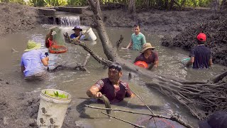 BẮT CÁ DƯỚI GÓC CÂY - Ở RỪNG NGẬP MẶN | Chuyện Phương Kể