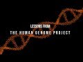 Human Genome Project Insights