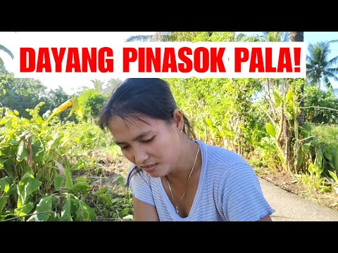 PART 7 DAYANG MAGKAKANEGOSYO NA