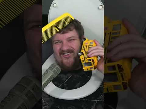 Seth Postal The Goose