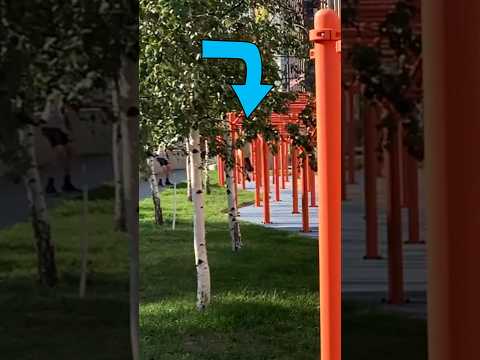 🏆 Воля к силе VS Рукоход 50 Метров | ЧЕЛЛЕНДЖ🪜