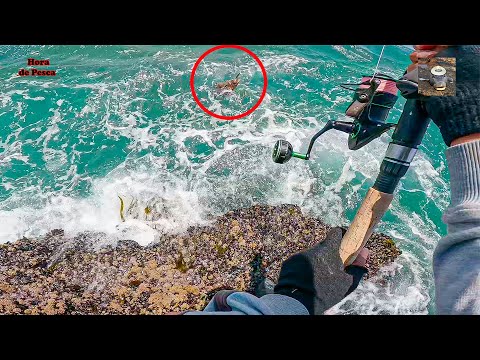 ¡No Vas a Creer Cómo Se Escapó Este Lenguado Gigante! | Pesca ÉPICA desde las Rocas