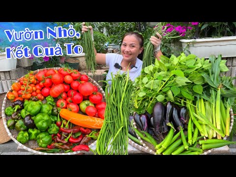 Trồng 1 lần ăn hoài ko hết, 9 loại đủ cả nhìn là muốn ăn