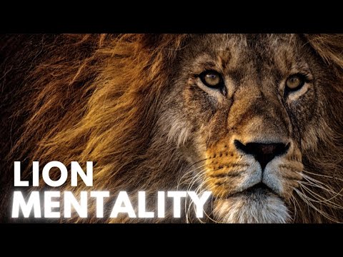 Lion Mentality: Unleash Your Inner Strength for Success